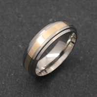 Titanium Ring - Gold Ramesses